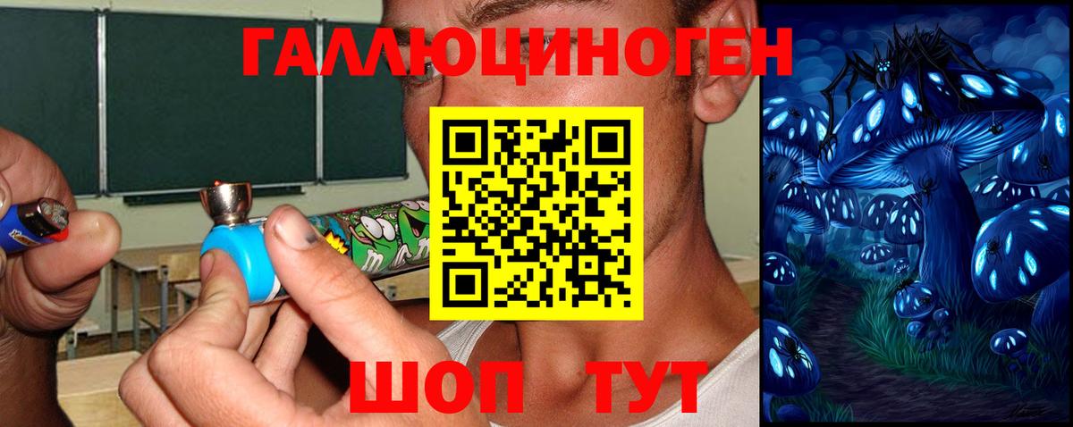 Галлюциногенные грибы Magic Shrooms Кузнецк