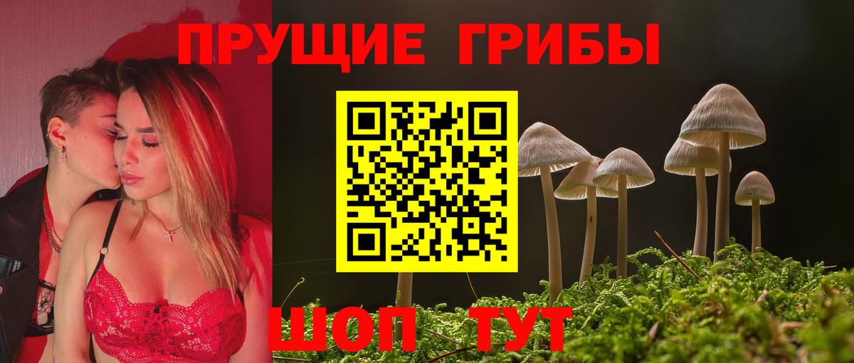 Кузнецк  Галлюциногенные грибы Magic Shrooms  Псилоцибиновые грибы Magic Shrooms  Вход с VPN 